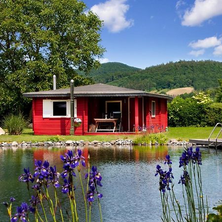Romantic Wooden Lodge,Sauna,Schwimmteich,Alleinstehend,Absolut Ruhig Hessisch Oldendorf Eksteriør billede