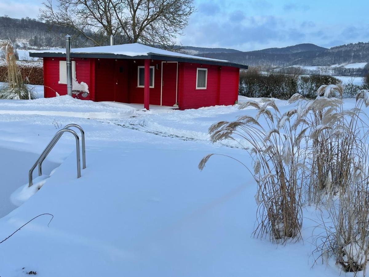 Romantic Wooden Lodge,Sauna,Schwimmteich,Alleinstehend,Absolut Ruhig Hessisch Oldendorf Eksteriør billede