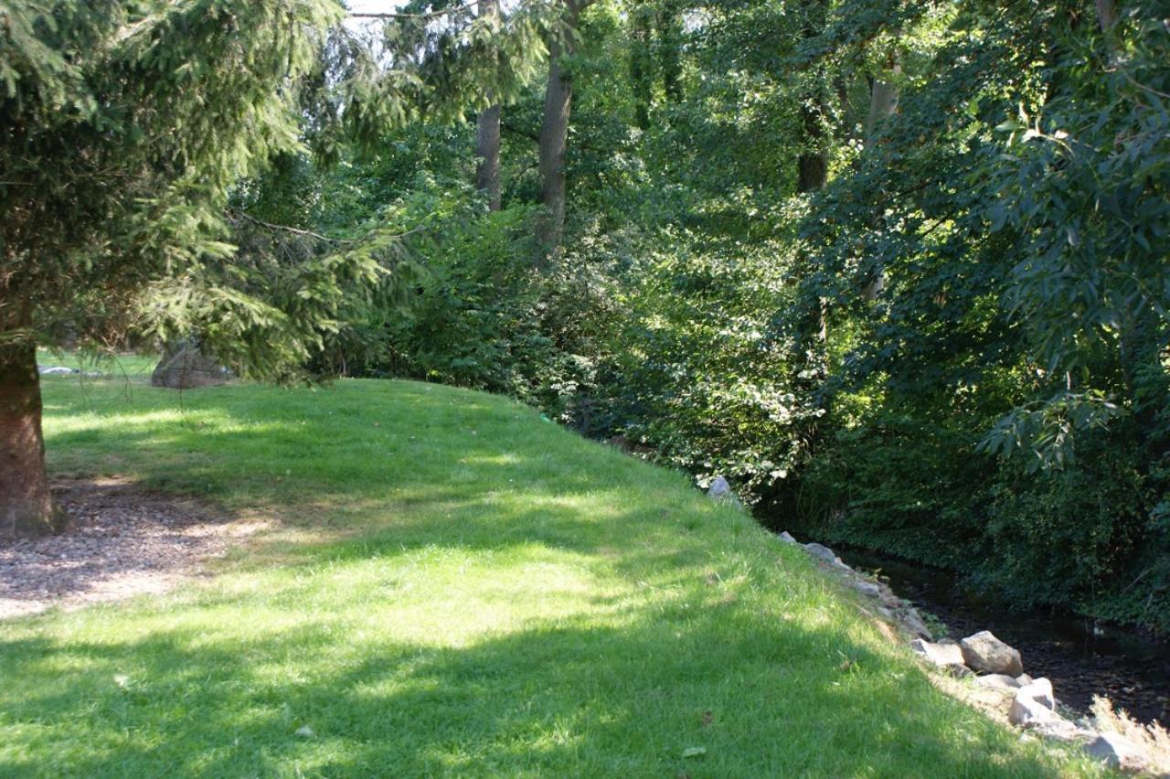 Romantic Wooden Lodge,Sauna,Schwimmteich,Alleinstehend,Absolut Ruhig Hessisch Oldendorf Eksteriør billede